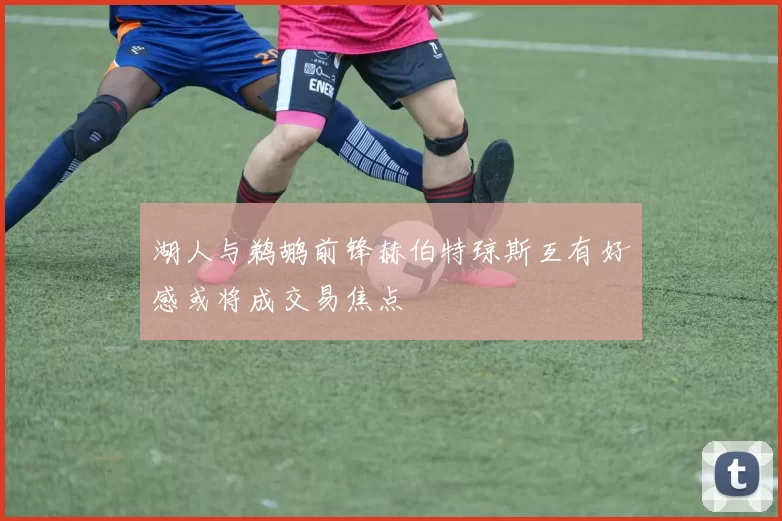 湖人与鹈鹕前锋赫伯特琼斯互有好感或将成交易焦点